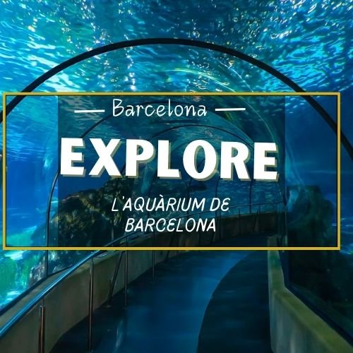 _barcelona aqaurium